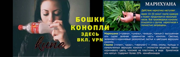 ПСИЛОЦИБИНОВЫЕ ГРИБЫ Аркадак