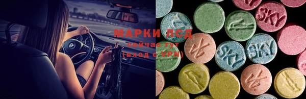 прущие грибы Армянск