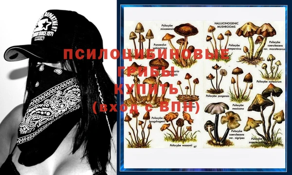 ПСИЛОЦИБИНОВЫЕ ГРИБЫ Аркадак