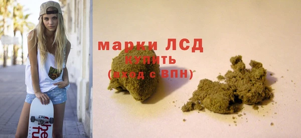 прущие грибы Армянск