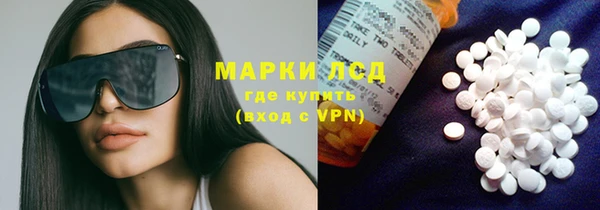 ПСИЛОЦИБИНОВЫЕ ГРИБЫ Аркадак