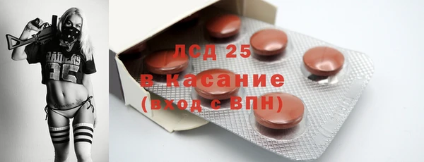 ПСИЛОЦИБИНОВЫЕ ГРИБЫ Аркадак