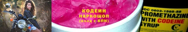 прущие грибы Армянск