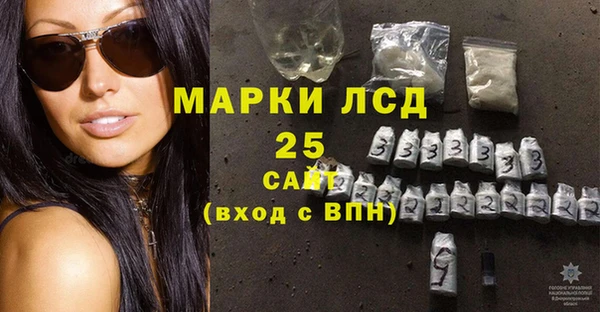 прущие грибы Армянск