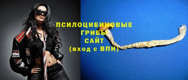 прущие грибы Армянск