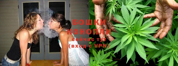 прущие грибы Армянск