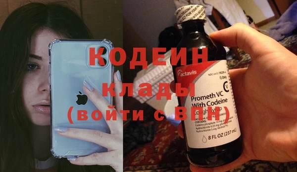 прущие грибы Армянск