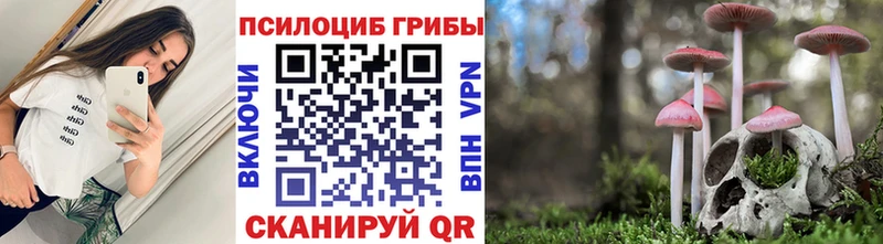 блэк спрут сайт  Урюпинск  Галлюциногенные грибы Magic Shrooms 